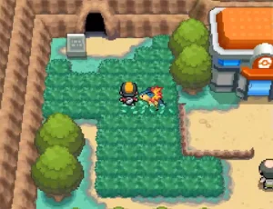 A gameplay screenshot of Pokemon SoulSilver. The player is walking through a patch of tall grass, in front of a cave entrance.
