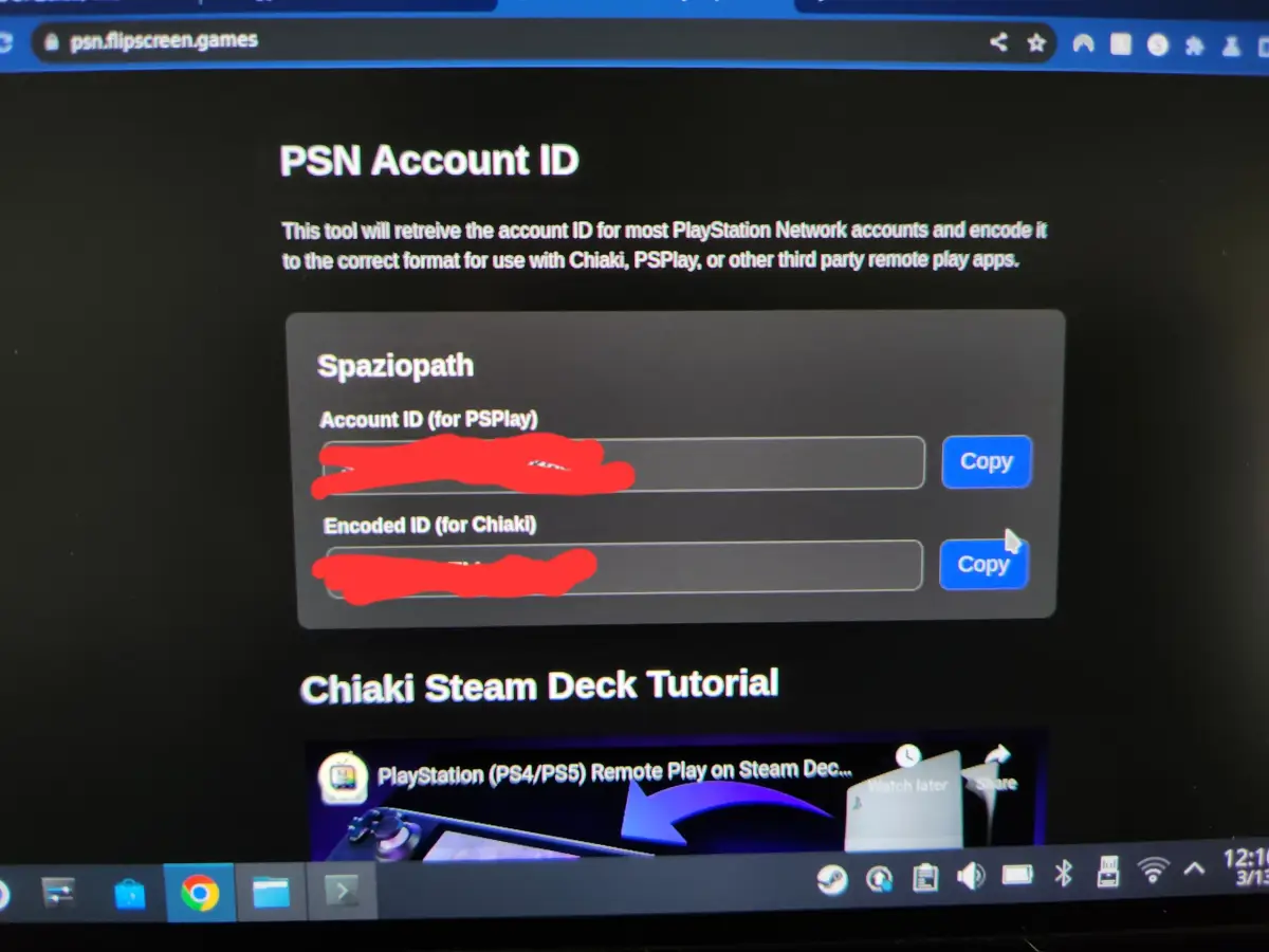 Enter your PSN Account Information