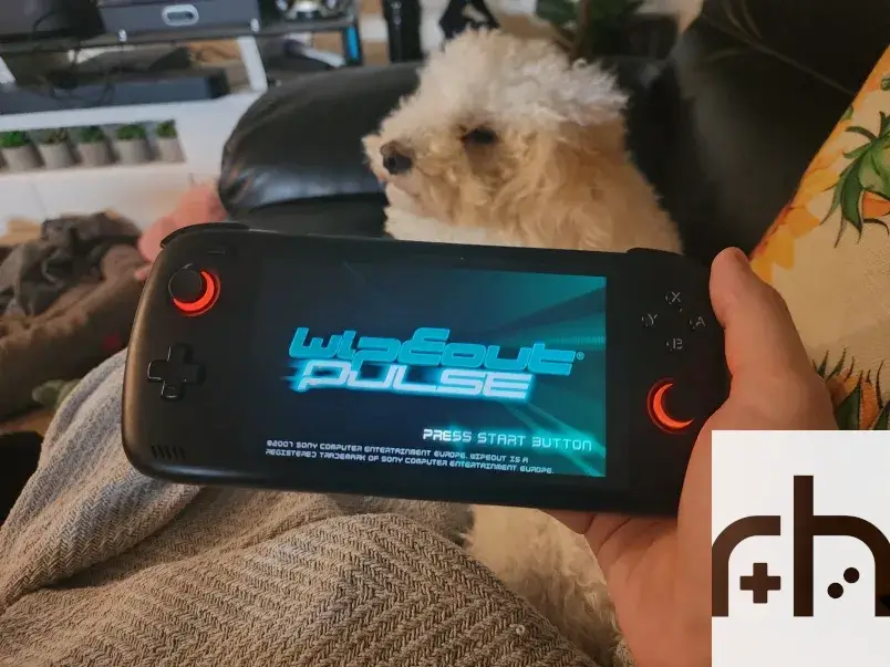 Wipeout+Dog